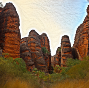  The Bungle Bungles