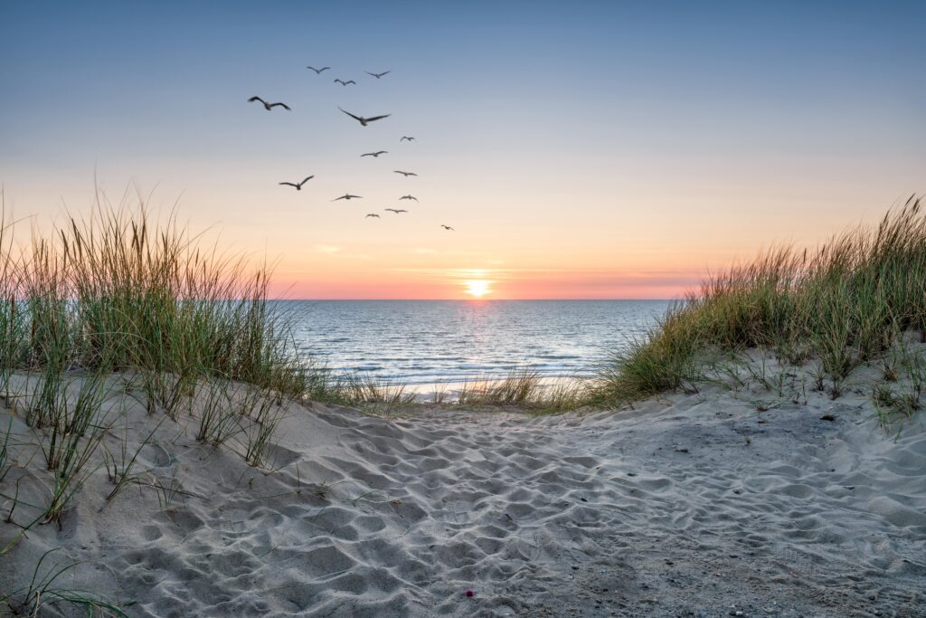 white beach sunset